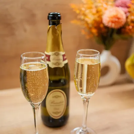 Modern In Historic Center Old Town Appartamento Bratislava